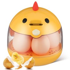 Couveuse De Poulets D'oiseau