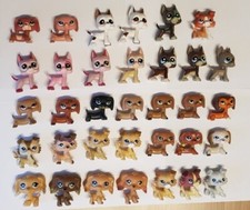 PETSHOP TIGE BLANCHE " faux "