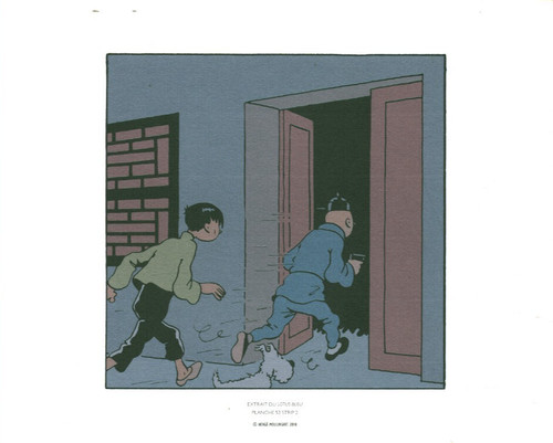Planches tintin hergé - planches,