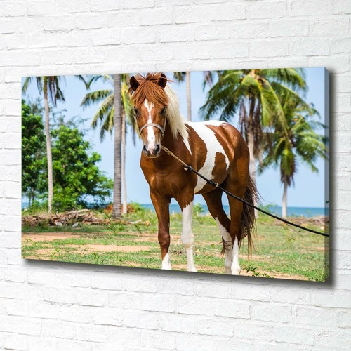 Tulup image sur toile tableau - tulup,