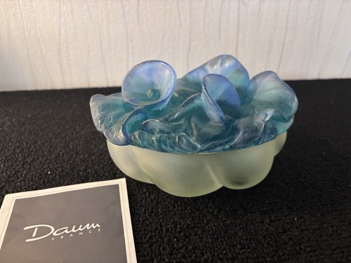 Coffret fleurs bleu cristal - fleurs,