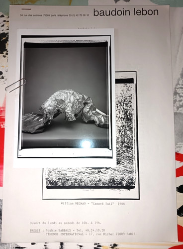 William wegman metallized fay - wegman,