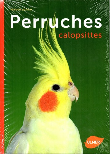 Perruches calopsittes renaud - perruches,