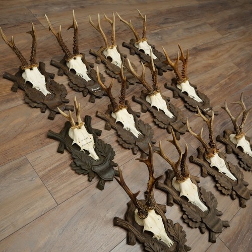 Sujets bois cerf 12 - sujets,