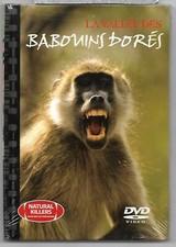 LA VALLEE DES BABOUINS DORES-