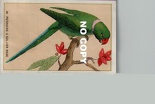 Lot of 2 BRAVARD Chromos - Bird Theme PARROT & PARAKEET