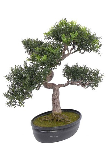 Bonsai artificiel arbre the - bonsai,