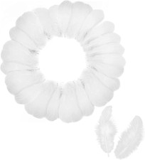 Diffaxy Lot De 150 Plumes