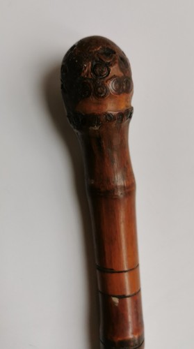 Canne bambou indochine - bambou,