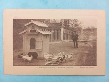 CPA, HOUDAN (78), Poules de