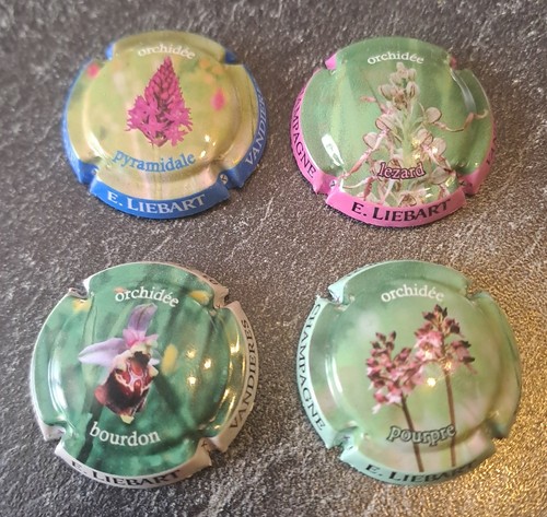 Lot capsules champagne - lot,