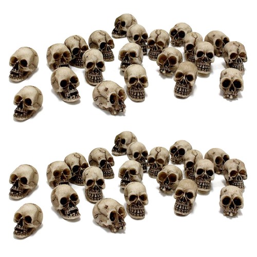 Pièces crânes tête - 40,