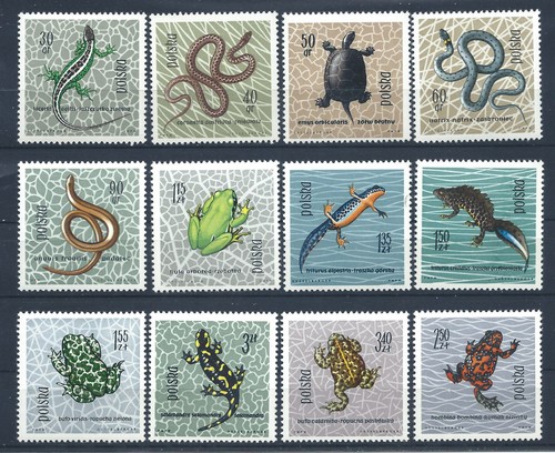 Pologne 1259 - pologne, (mnh)