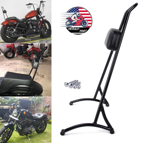 Detachable passenger sissy - passenger, bar