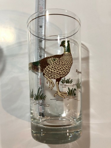 Vintage ring neck pheasant - vintage, ring-neck