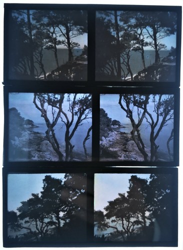 Stéréo autochrome mer - 3,