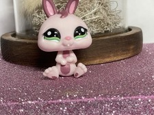 🌸 petshop dwarf rabbit