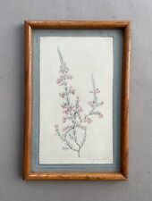 Fleur, Aquarelle Botanique