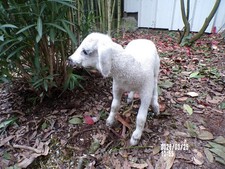 NEW agneau lamb Lamm  bébé