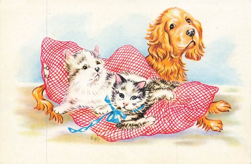 Chats chien - et,