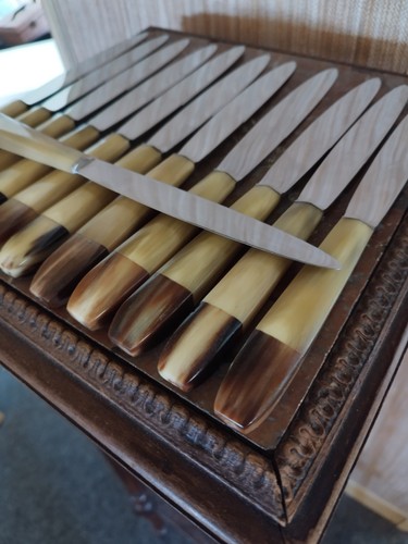 Couteaux table manches - 12,