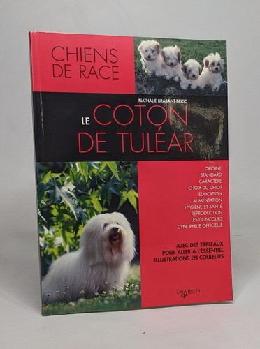 Coton tulear - coton,