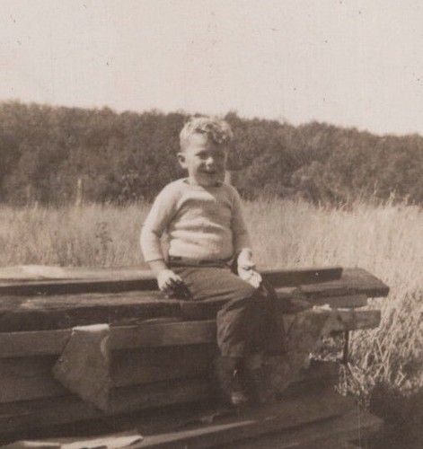 Child logs boards wood boy - boards,