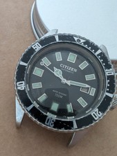 Citizen Challenge diver