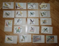 lot cartes postales oiseau