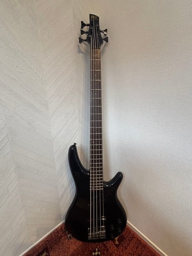 Ibanez sdgr fujigen guitare - ibanez,