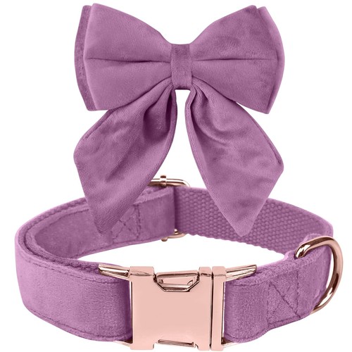 Noeud papillon chiens collier - noeud, chiens,