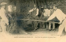 Carte SAINT AMAND EN PUISAYE