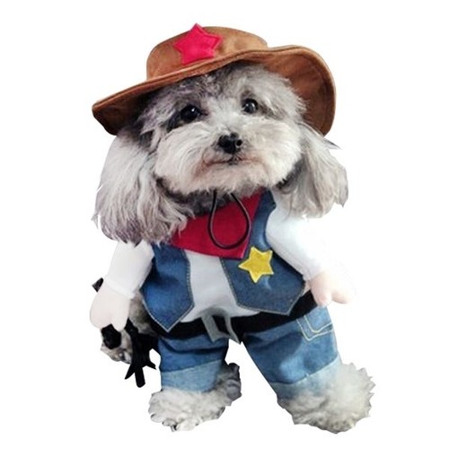 Déguisement pour chien