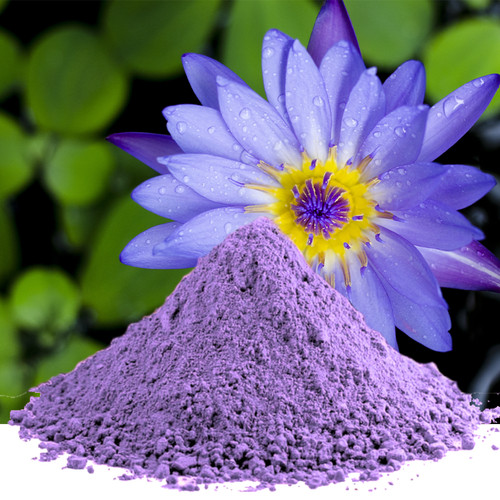 Poudre fleur lotus - fleur, de