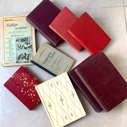 Lot livres anciens - 9,