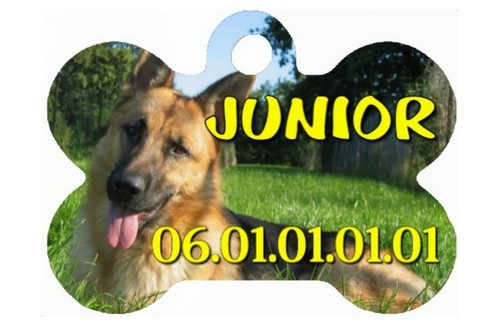 Medaille pour chien - medaille,