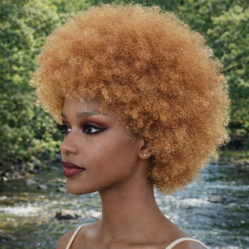 Perruque femme afro boucle - femme,