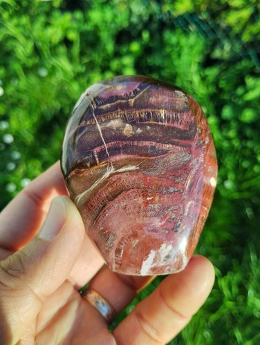 Bois fossile forme libre - bois,