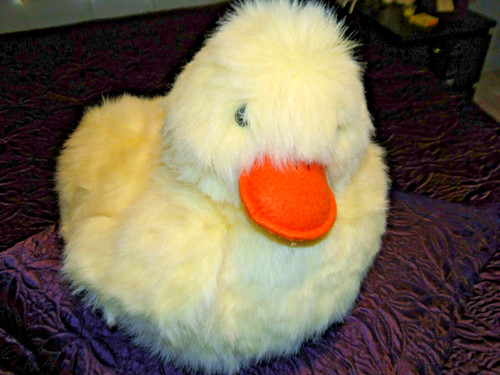 Peluche géante canard - , poussin