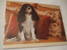 CARTE + ENVELOPPE - chien