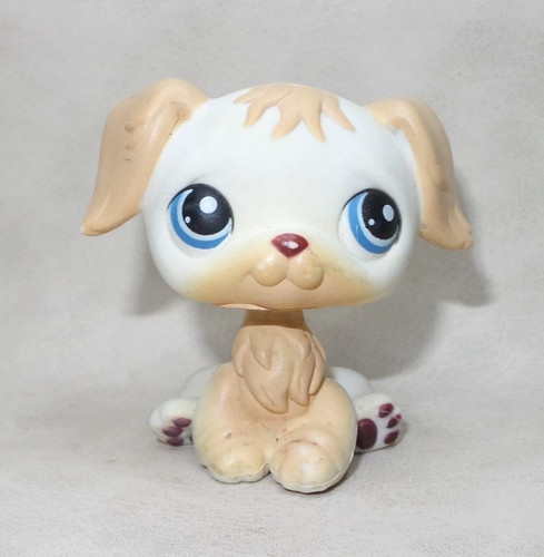 Littlest petshop pet - petshop, lps