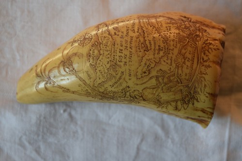 Scrimshaw dent de - :,