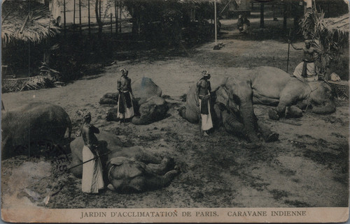 Zoo humain exposition - zoo, humain,