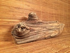 Beautiful 12" DRIFTWOOD Piece