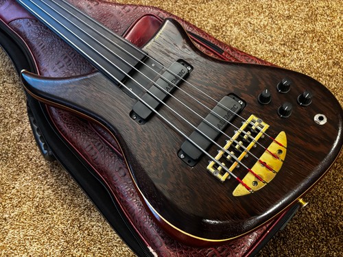 Alembic epic string fretless - epic,