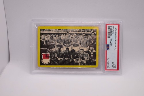 1960 maple leaf - maple, chewing
