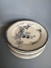 10 Assiettes Faïence Groseilles Sarreguemines U&C  XIX ème 