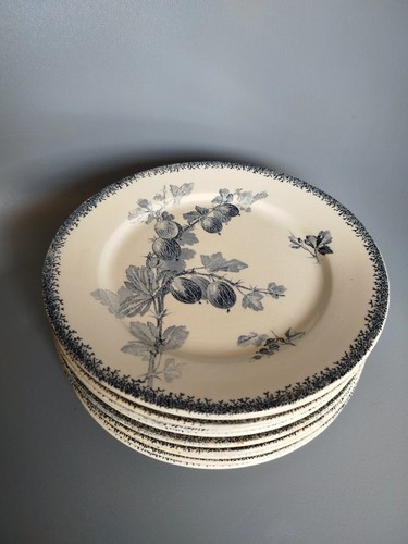 Assiettes faïence - assiettes,