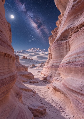 Art print canyon rose - print,