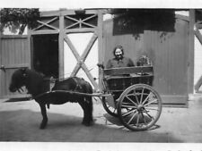 PHoto du bel attelage avec